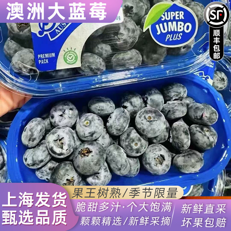 澳大利亚进口果王澳洲蓝莓SuperJumbo当季限量新鲜孕妇脆甜顺丰