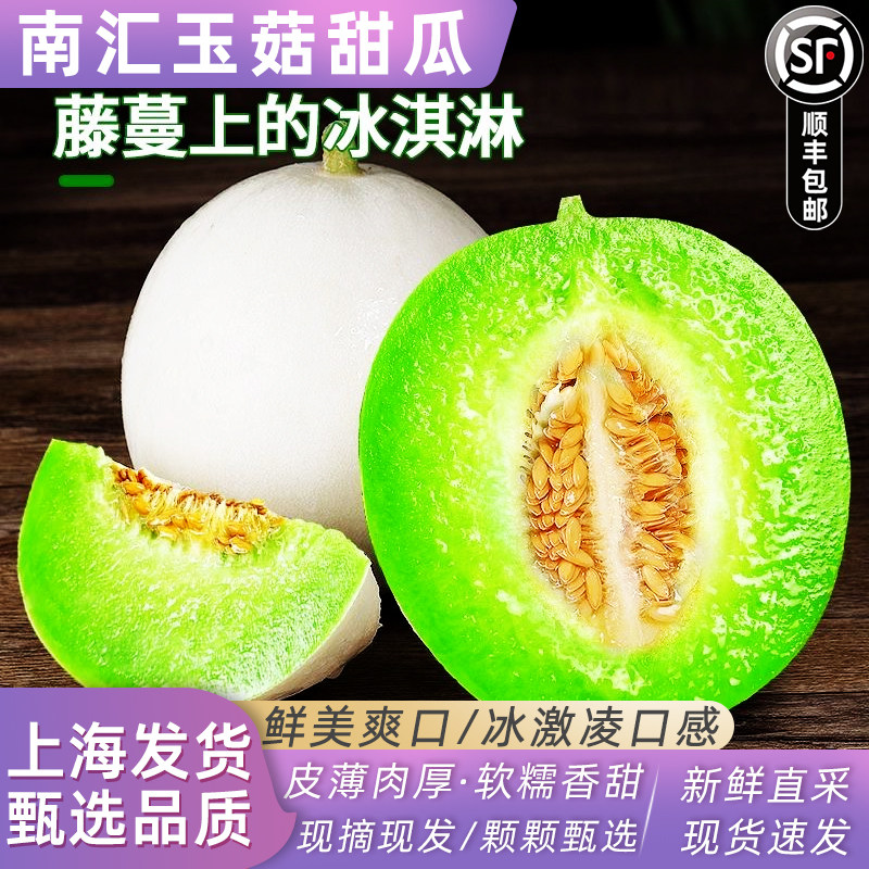上海南汇玉菇甜瓜超甜糯10斤新鲜水果当季冰淇淋蜜瓜香瓜青皮绿肉