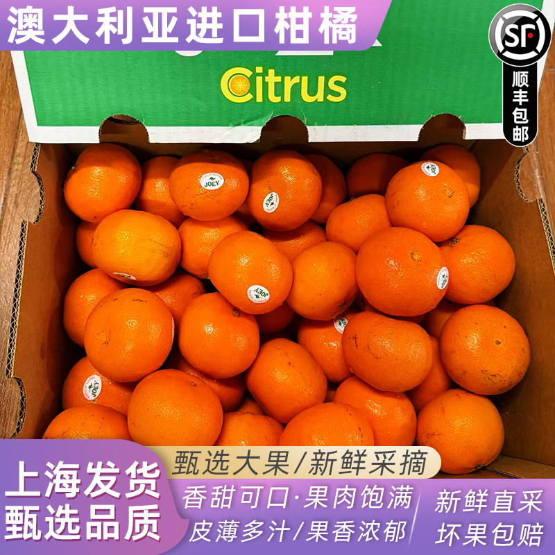 澳大利亚进口柑橘蜜橘子蜜桔澳柑不上火新鲜桔子当季时令新鲜水果