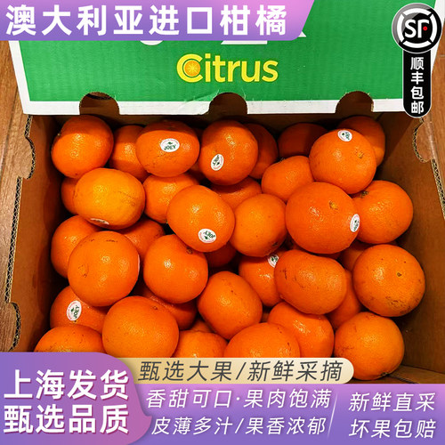 澳大利亚进口柑橘蜜橘子蜜桔澳柑不上火新鲜桔子当季时令新鲜水果