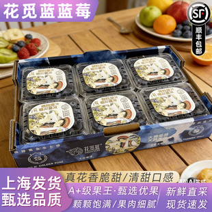 花觅蓝大理蓝莓云南超甜蓝莓鲜果 当季限量新鲜花香大蓝莓顺丰