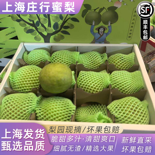 当季正宗上海奉贤庄行品种蜜梨整箱8斤梨子新鲜现摘翠冠梨青梨