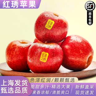 正宗云南高原品种红锈苹果红锈天香当季水果甜脆顺丰发货