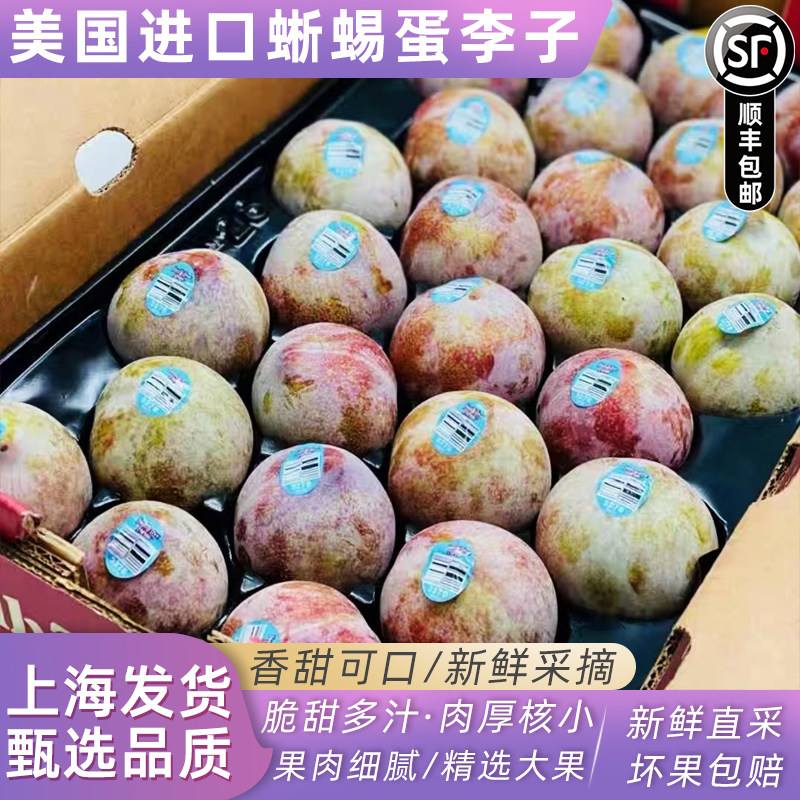 美国进口蜥蜴蛋恐龙蛋李子时令新鲜水果红肉李子8斤原箱顺丰快递