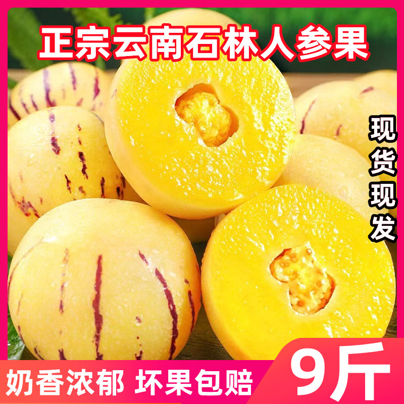 云南石林人参果樱福源