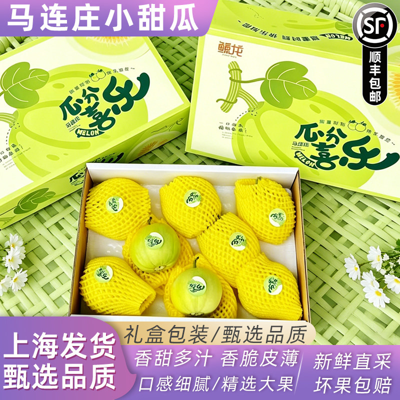 鲸龙马连庄小甜瓜皮薄脆嫩自带蜜香果肉细腻无渣软绵香甜礼盒装
