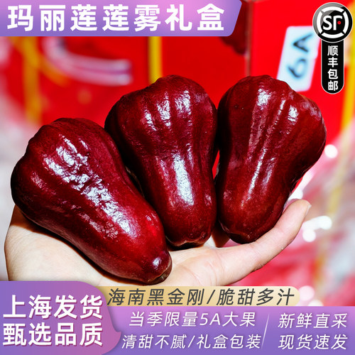 玛丽莲海南黑金刚莲雾3斤礼盒水果特大果新鲜连雾脆甜当季顺丰