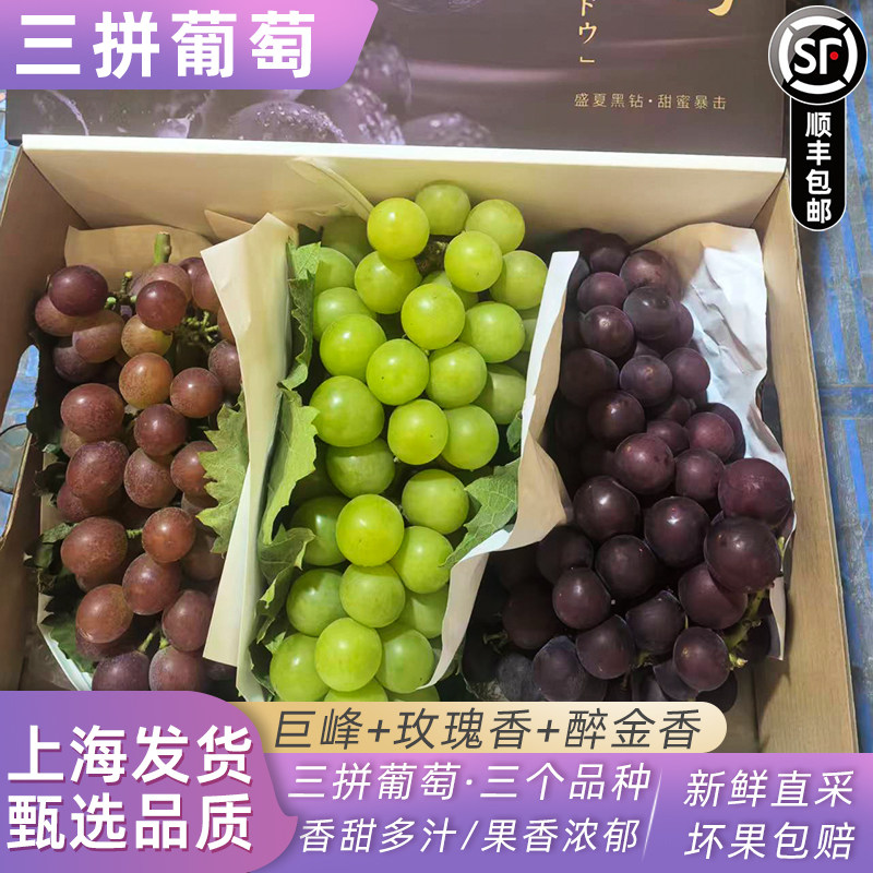 马陆巨峰葡萄+玫瑰香+醉金香三拼葡萄黑珍珠巨峰礼盒5斤水果顺丰