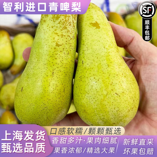 智利啤梨进口啤梨大果4斤软糯香甜青啤梨当季新鲜水果顺丰快递