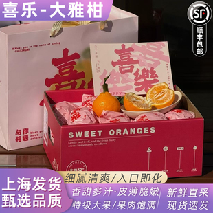 炽星蜜春见粑粑柑礼盒装喜乐大雅柑新鲜水果丑八怪橘子皮薄甜嫩汁
