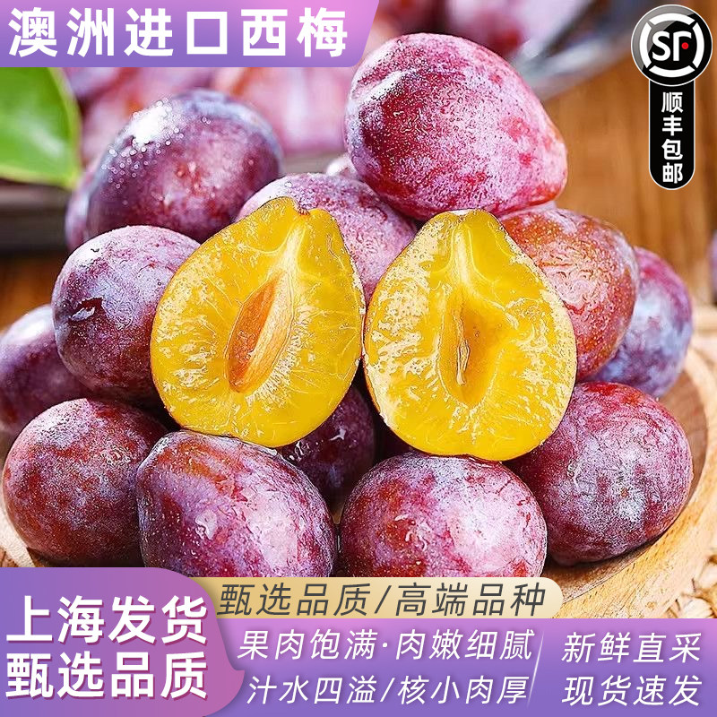 澳洲进口西梅5斤水果当季现摘新鲜大西梅脆甜李子鲜果顺丰包邮