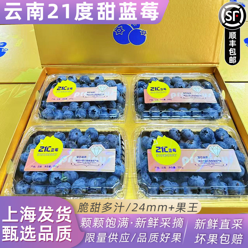 云南21度宝石甜蓝莓 原箱约2斤单盒250g 新鲜水果护眼特大果蓝莓