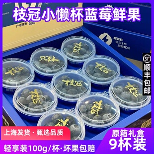 现货枝冠蓝莓小懒杯蓝莓鲜果9杯礼盒脆甜超能杯新鲜孕妇水果顺丰