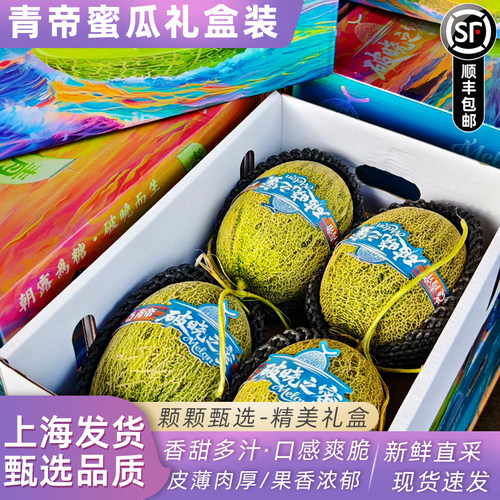 破晓之蜜青帝蜜瓜香甜脆原箱4个礼盒装新鲜水果哈密瓜绿瓢瓜顺丰