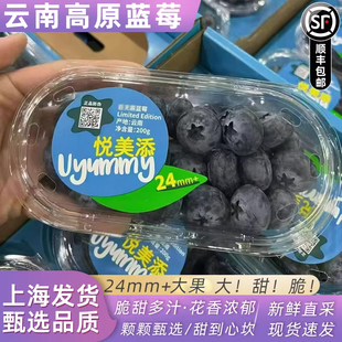 云南24mm+原箱大蓝莓王甜脆悦美添花香蓝莓新鲜8盒装顺丰包邮