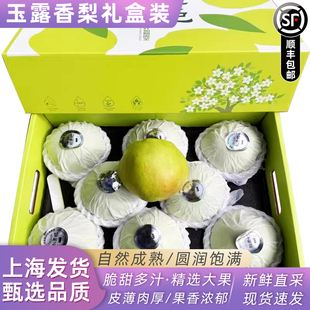 正宗隰县玉露香梨脆甜无渣时令新鲜水果梨子7斤礼盒大果顺丰包邮