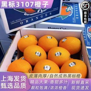 黑标3107橙子8斤礼盒装当季新鲜水果脐橙橙子大果发顺丰包邮