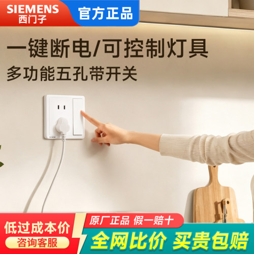 西门子致典白/灰/金五孔插座带开