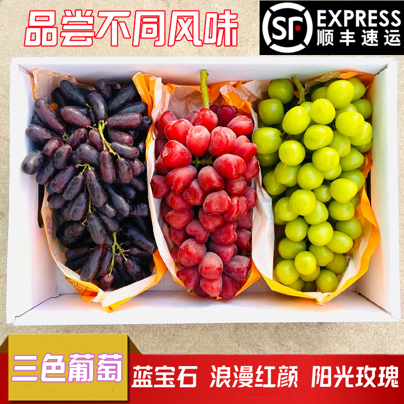 三色葡萄组合水果当季新鲜