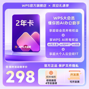 WPS WPS大会员2年官方正版 AI生成PPT模板资源PDF转换 双旦