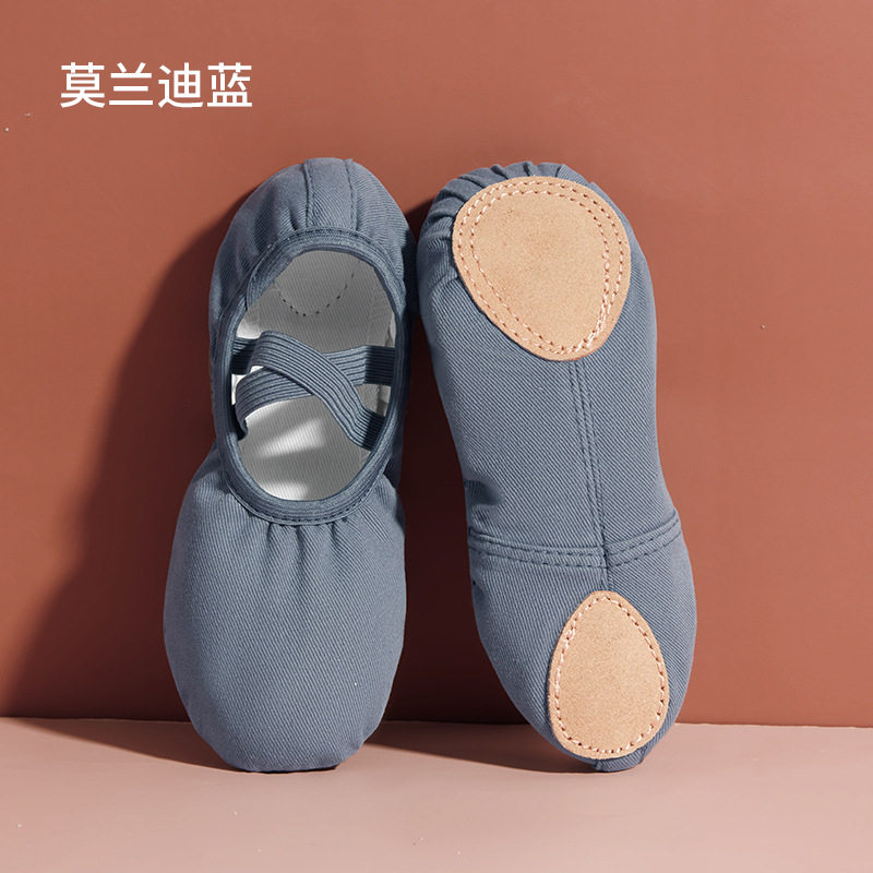 专业芭蕾舞舞蹈鞋儿童女童形体猫爪鞋紫色教师莫兰迪软底鞋练功鞋