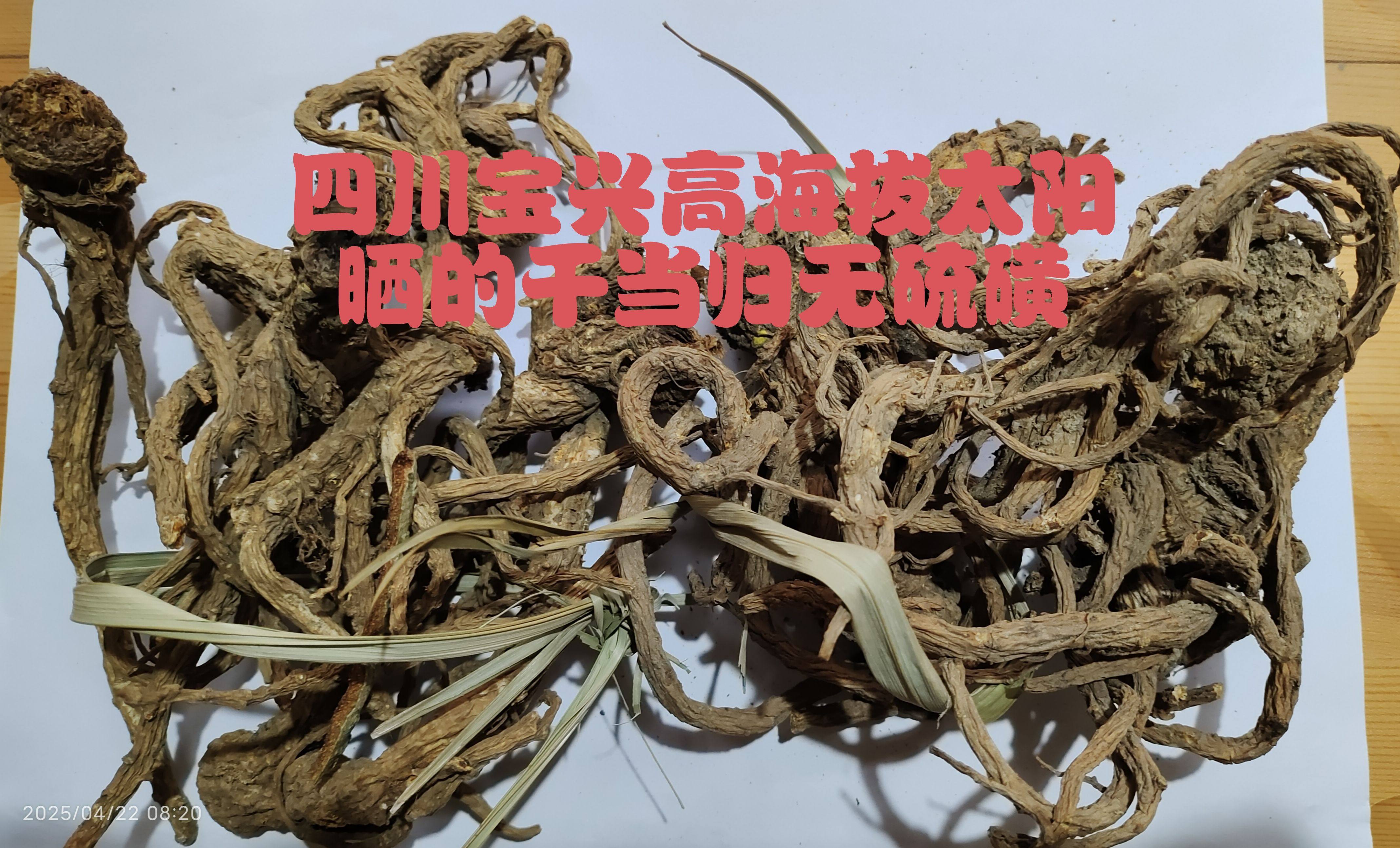 四川宝兴大雪山自然生长干当归1斤包邮煲汤太阳晒干半斤包邮