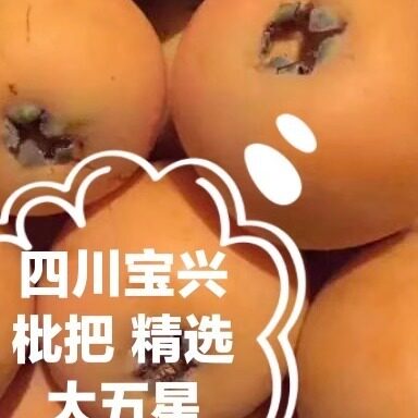 宝兴高山晚熟枇杷大五星纯甜包邮