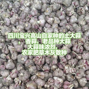 四川雅安宝兴高山农民散种香蒜苗 5斤新蒜苗包邮农家肥儿童适合