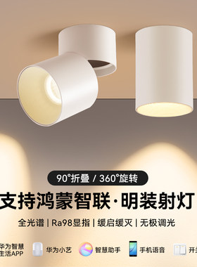 支持鸿蒙智联智能调光明装射灯