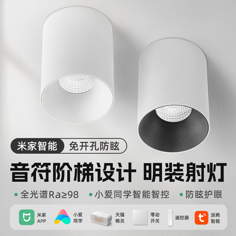 已接入米家APP智能明装射灯RA98