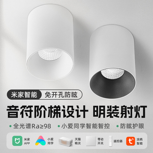 已接入米家APP智能明装射灯led防眩光简约大气天猫精灵无主筒灯