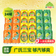 0酒精碳酸饮料夏季 广氏菠萝啤 24罐装 碧柠混合330ml 气泡水 橙宝