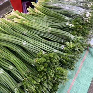 雀梅鲜花花束云南基地直发圣心百合时令花材办公室客厅水养鲜切花