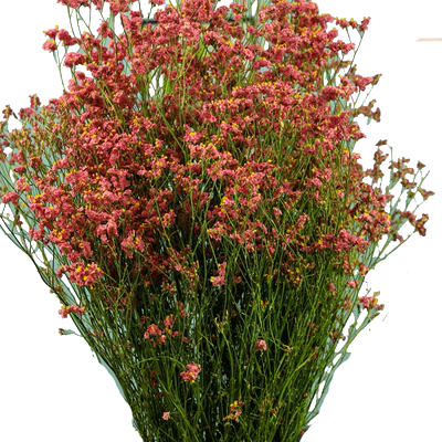 水晶鲜花云南特产自然风干基地