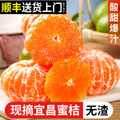 顺丰发湖北蜜橘现摘现发宜昌蜜桔