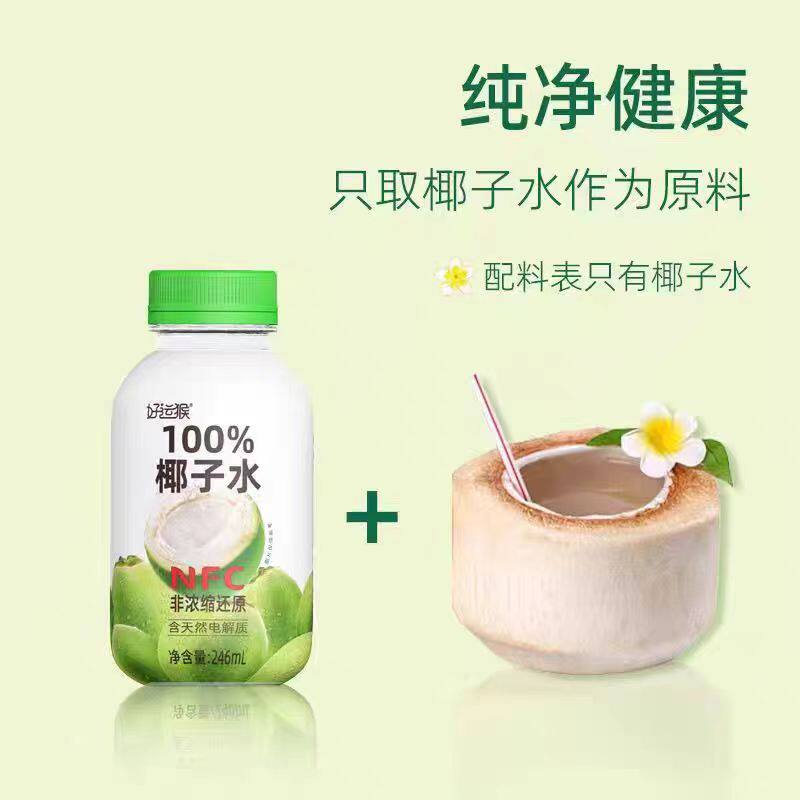 海南好运猴100%天然椰子水246ml*8瓶NFC椰青0脂0糖含清凉电解饮料