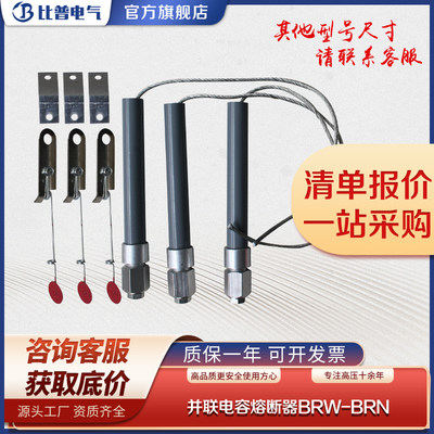 并联电容器单台高压专用保护熔断器BRW(BRN BR2)-7.2 10KV喷射式