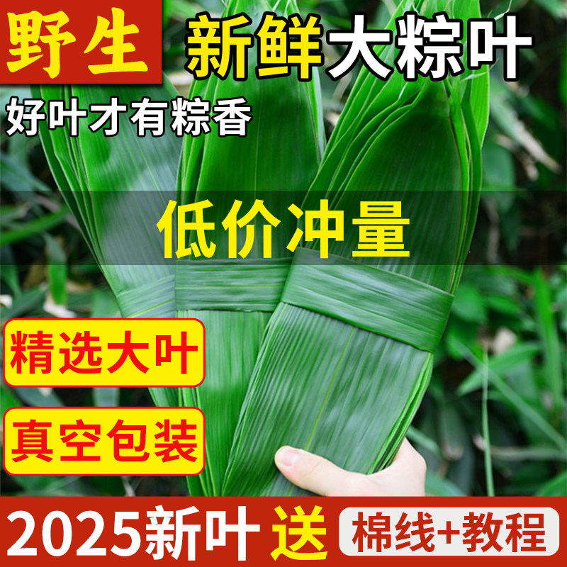 粽子叶新鲜大号新叶包粽子专用