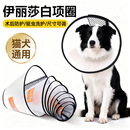 星纹伊丽莎白圈猫咪狗狗项圈围脖头套绝育防舔舐圈防咬宠物耻辱圈