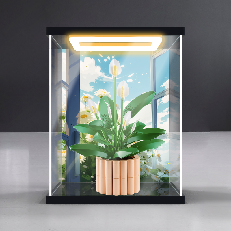 适用乐高11504和平百合积木亚克力展示盒花卉系列防尘收纳柜子