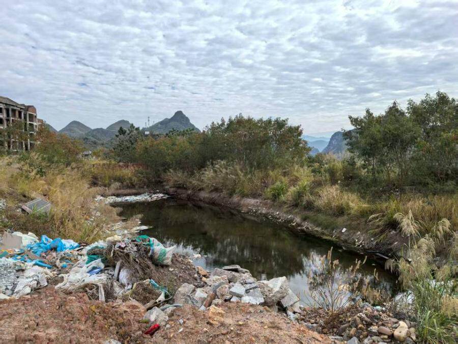 5月14日桂林市投资开发公司地上建筑物网络拍卖公告