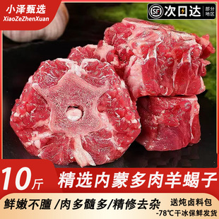 内蒙古羊蝎子新鲜带肉羊棒骨多肉带骨髓中段火锅商用送炖卤调料包