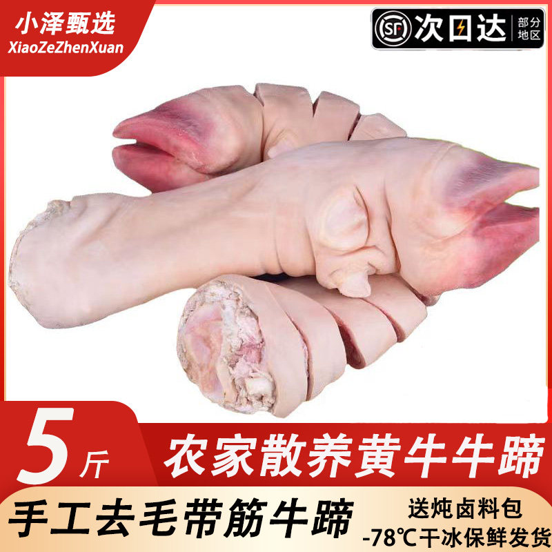 新鲜牛蹄子整只去毛无骨黄牛生牛脚蹄免切块带筋带骨牛蹄商用卤味