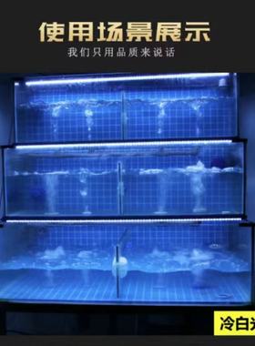 220V-海鲜池鱼缸灯 鱼池专用led灯白色/蓝光 40cm到140cm养鱼展示