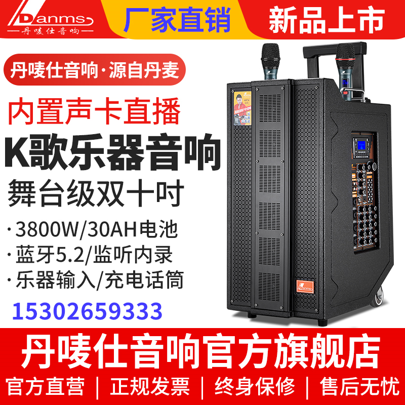 丹唛仕蓝牙音响户外乐器音箱