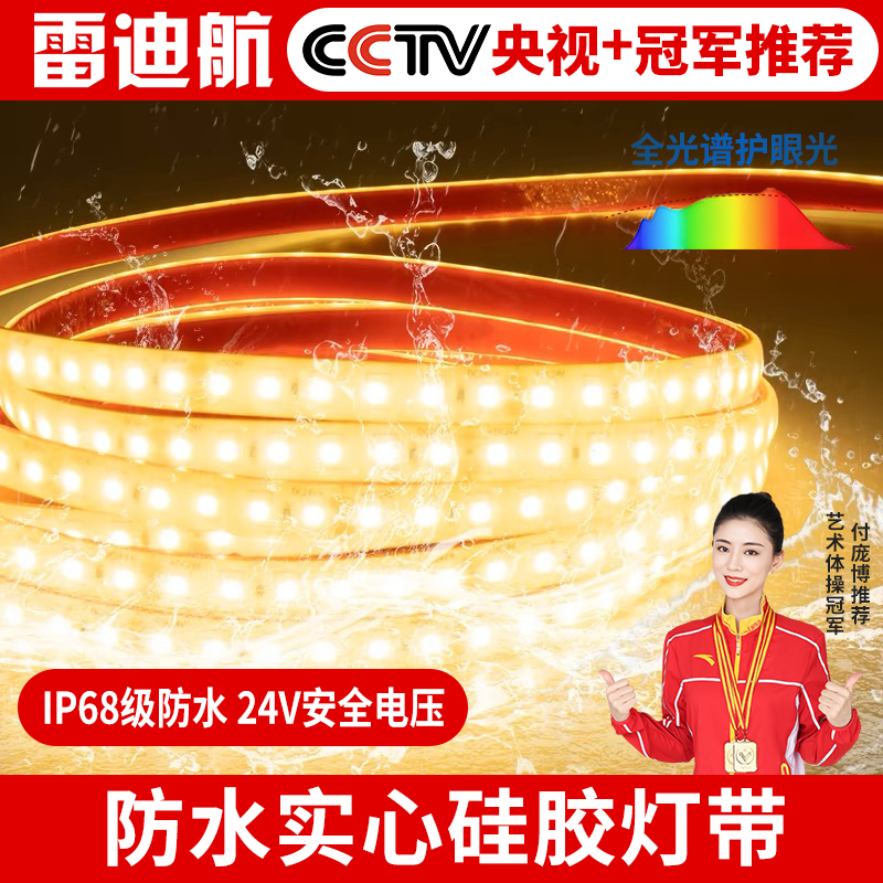 雷迪航防水24v全光谱98显