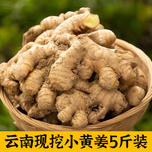 正宗云南新小黄姜生姜沙姜老姜
