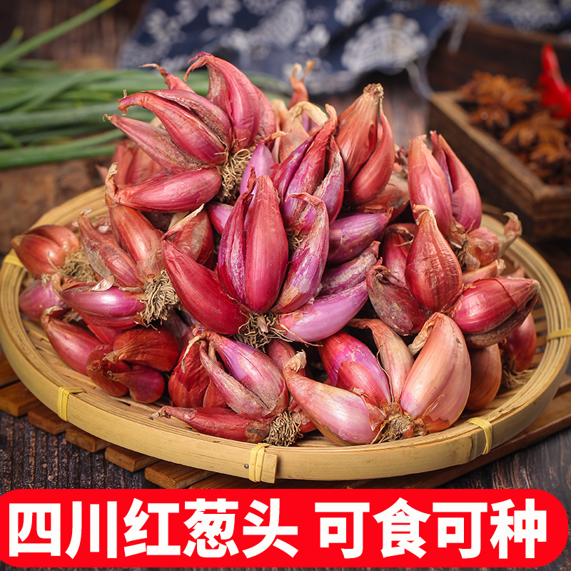 四川红葱头新鲜小香葱5斤正宗农家食用四季特大干种子香料火葱头,水产肉类/新鲜蔬果/熟食,葱类,淘宝优惠券,粉丝福利购,淘宝优惠卷