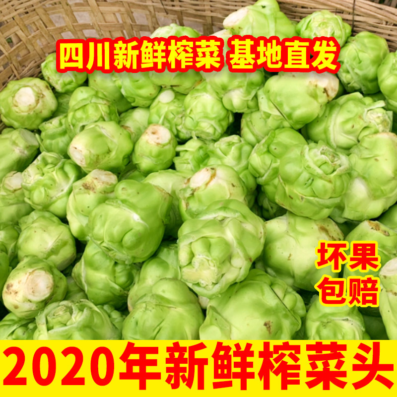 四川榨菜新鲜榨菜头大头菜新鲜蔬菜荠菜泡菜原料农家自种,水产肉类/新鲜蔬果/熟食,荠菜,淘宝优惠券,粉丝福利购,淘宝优惠卷