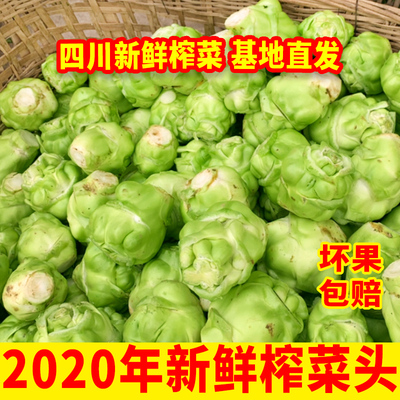 四川榨菜新鲜榨菜头大头菜新鲜蔬菜荠菜泡菜原料农家自种